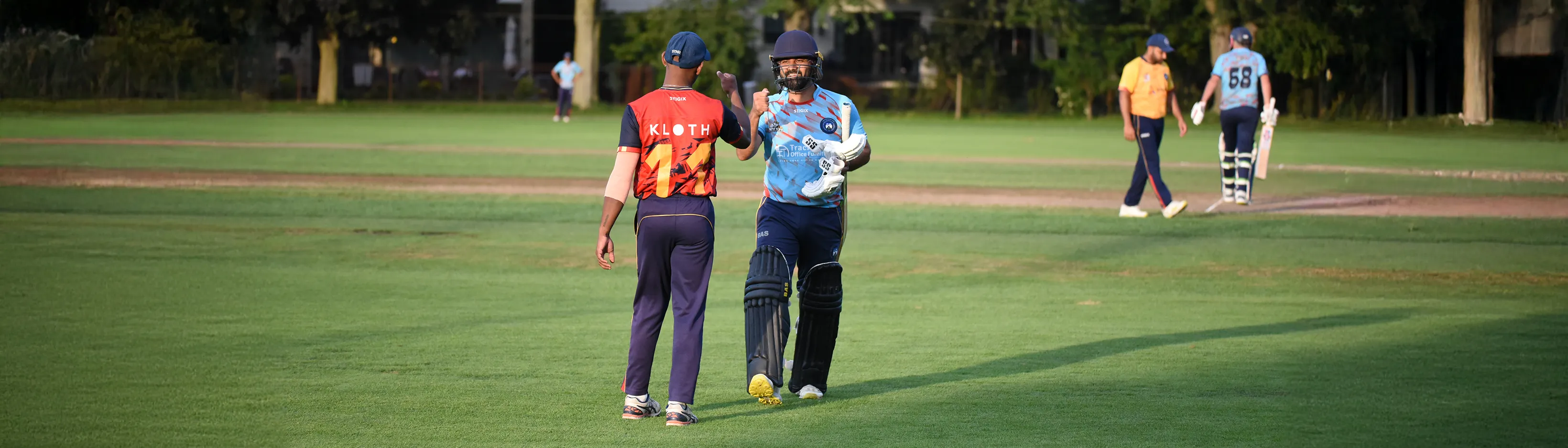 Cricket