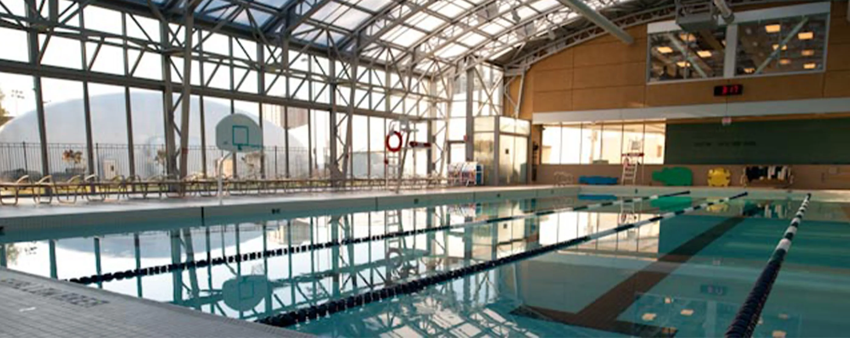 Aquatics